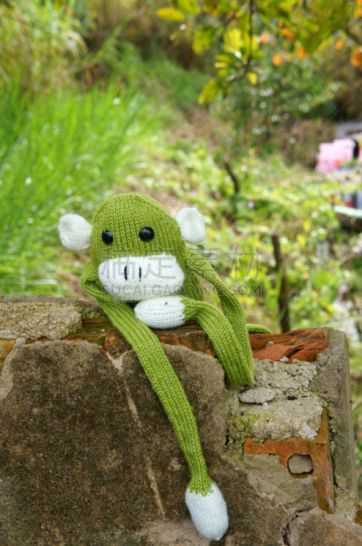 符号,猴子,2016,寂寞,羊毛,猴年,垂直画幅,灵感,非凡的,想法