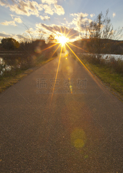 小路,栏杆,垂直画幅,公园,休闲活动,户外,镜头眩光,植物,沥青,凝视