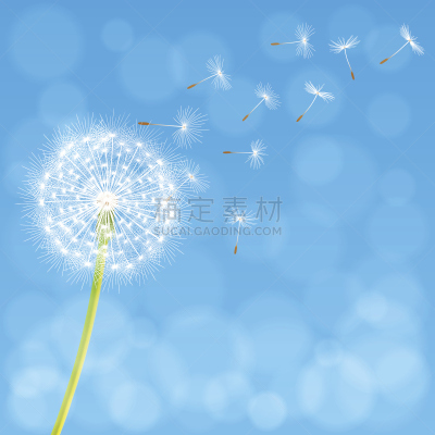 蒲公英,背景,清新,环境,壁纸,装饰物,植物,户外,天空,绘画插图
