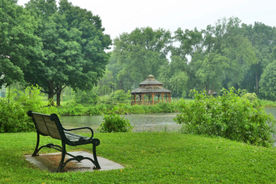 夏天,雨,自然,背景,自然美,水,美,公园,长椅,座位