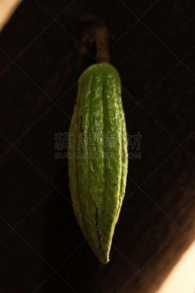 菜园,清新,自然界的状态,热带气候,食品,泰国,农场,树干,植物,梧桐科植物