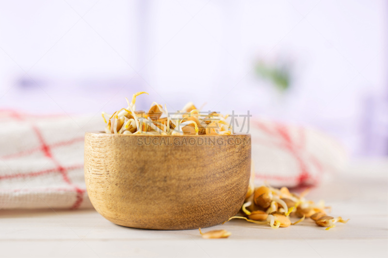 秧苗,红色,扁豆,郁金香,褐色,水平画幅,素食,生食,光,特写