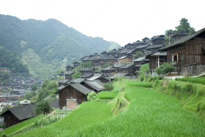 贵州省,古典式,田地,稻,建筑体,天空,新的,水平画幅,山