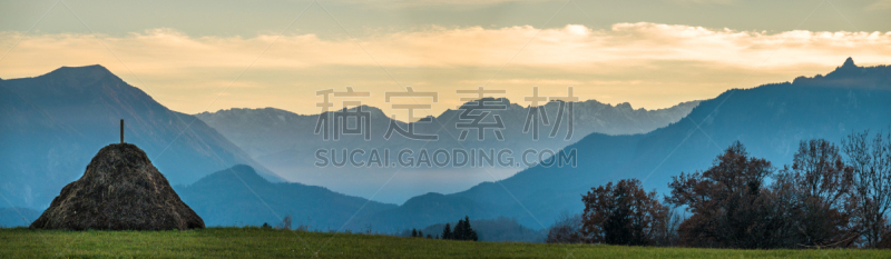 murnauer moos,巴伐利亚,地形,小屋,长椅,黄昏,公园长椅,草,动物,农场