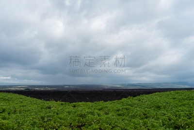 夏威夷大岛,风景,柯哈拉海滩,自然美,水,天空,夏天,草,白色,热带气候