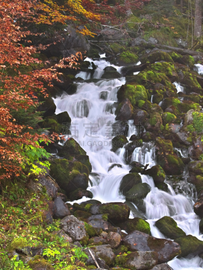 瀑布,阿伦山谷,mood moss,欧洲山毛榉,莱里达省,莱里达,宝丽丝山脉,垂直画幅,水,无人