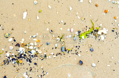 波罗的海,沙砾,贝壳,沙子,玻璃,海滩,正下方视角,干净,大特写,纹理效果