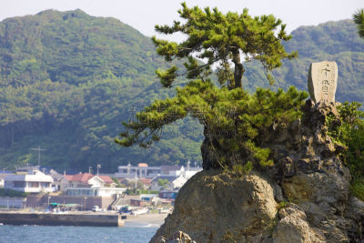 海岸线,相模湾,码头周围,自然,水,水平画幅,地形,岩石,无人,日本