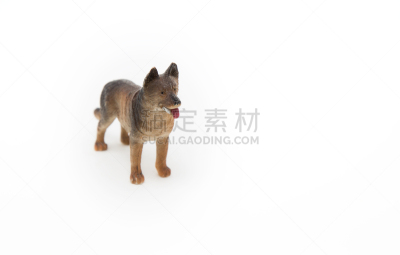 塑胶,分离着色,哈巴狗,小雕像,模塑,寻回犬,美,褐色,水平画幅,动物身体部位