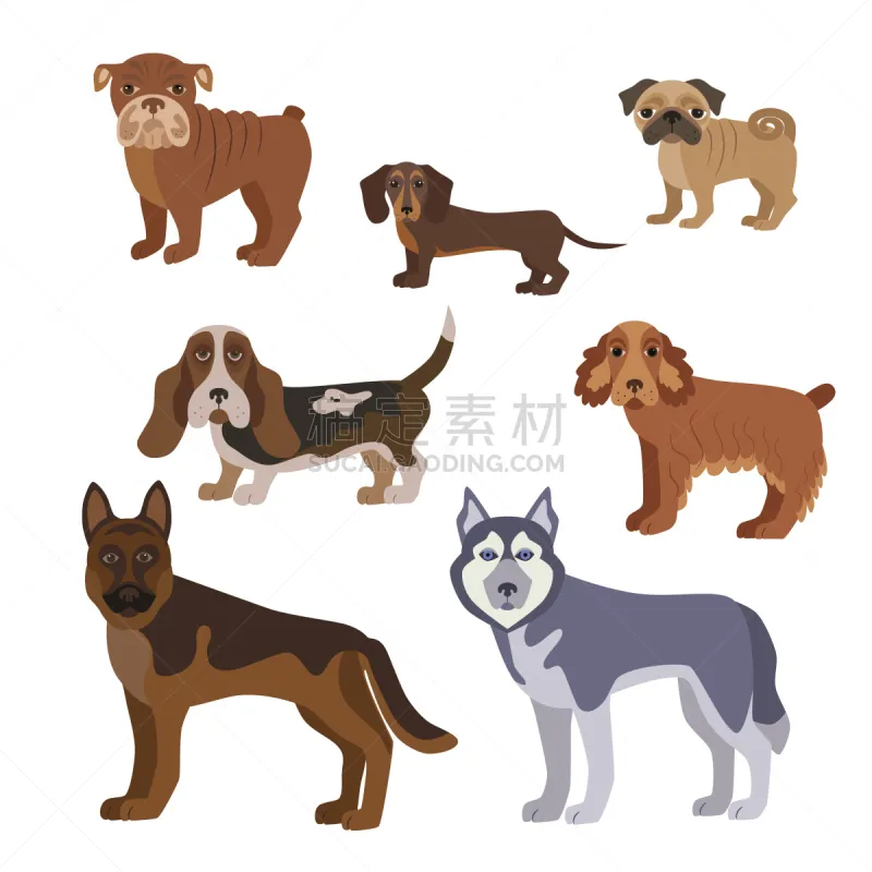 纯种犬 狗 舞台 英文字母i 矮脚猎犬 斯普林斯班尼犬 德国牧羊犬 英国小猎犬 巴哥犬 雪橇犬图片素材下载 稿定素材 纯种犬 狗 舞台 英文字母i 矮脚猎犬 斯普林斯班尼犬 德国牧羊犬 英国小猎犬 巴哥犬 雪橇犬图片素材下载 稿定素材