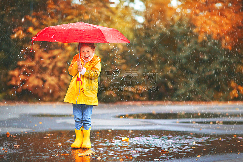 伞,儿童,幸福,秋天,女孩,水坑,雨鞋,平衡折角灯,水,美