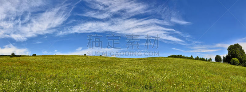 天空,夏天,草地,全景,花朵,自然美,美,芳香的,水平画幅,云