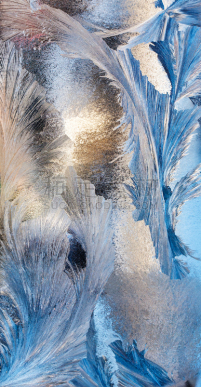 霜,式样,大特写,冰,冰晶,垂直画幅,水,气候,纹理效果,雪