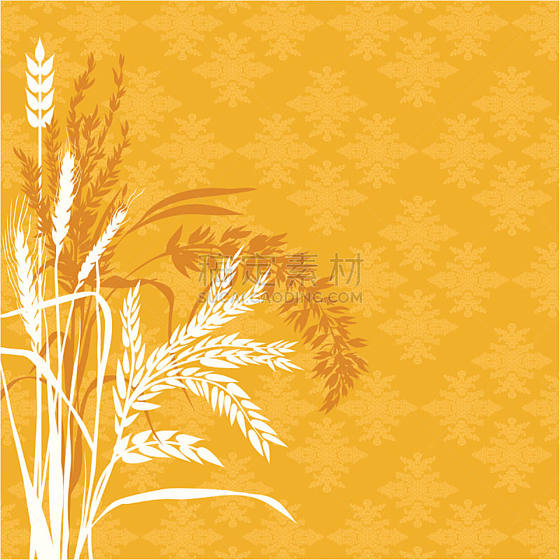 背景,植物群,谷类食品,稻,自然,式样,秋天,绘画插图,装饰物,玉米