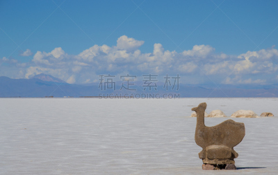 大盐湖,阿根廷,旅游目的地,水平画幅,无人,萨尔塔省,路,健康保健,生理盐水,户外