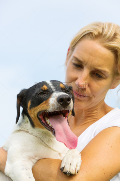 杰克拉瑟短腿犬,女人,教区牧师,团队照片,垂直画幅,梗犬,夏天,户外,草,特写