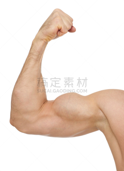 Biceps