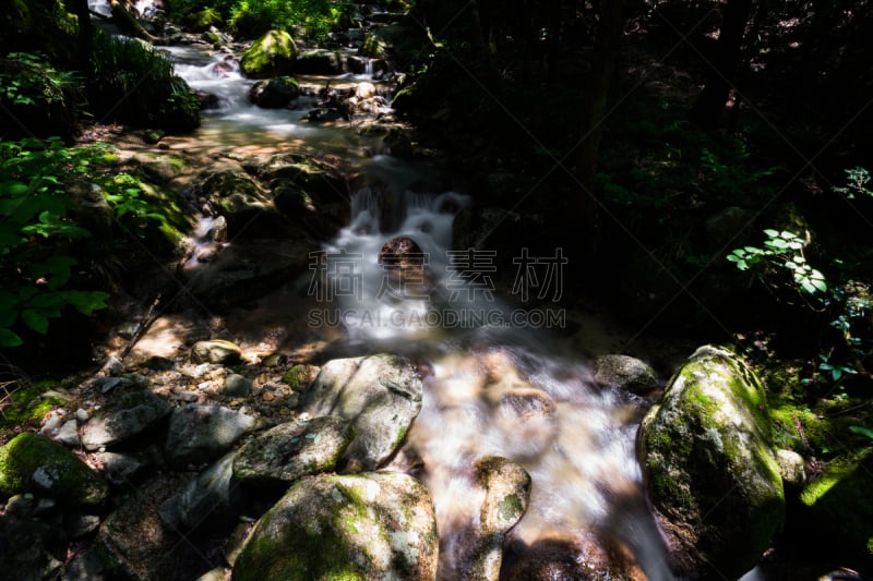 日本,小路,金泽,自然,水,古代文明,草原,旅游目的地,水平画幅,地形