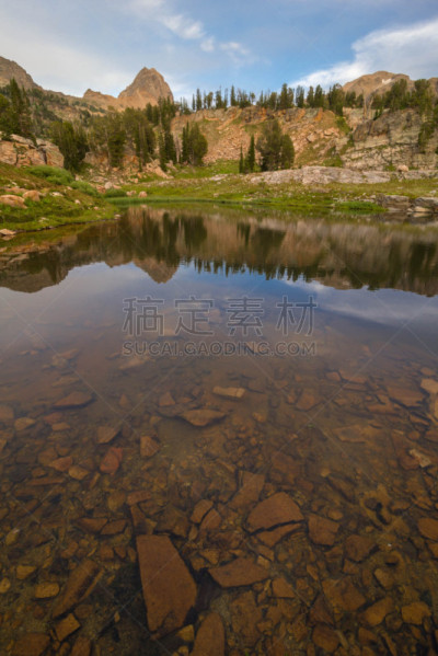 两只动物,杰克逊,杰克森,提顿山脉,垂直画幅,水,天空,公园,洞,雪