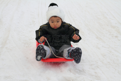 日本人,男孩,动物雪车,学龄前,水平画幅,雪,滑雪坡,性格,户外,18到23个月