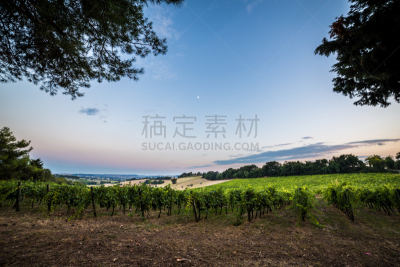 黄昏,葡萄园,水,天空,古老的,夏天,灯塔楼,游艇,城镇,地平面