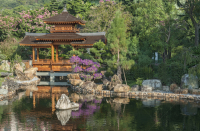 寺庙,chinese temple dog,盆景,女修道院,九龙,灵性,当地著名景点,旅行者,湖,建筑业