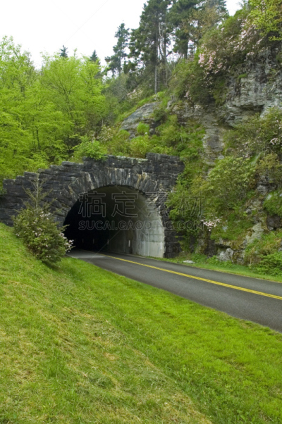 蓝岭公路,春天,北卡罗来纳,隧道,皮撒国家森林公园,阔叶树,垂直画幅,枝繁叶茂,无人,田纳西