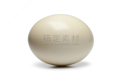 鸵鸟蛋,式样,水平画幅,鸡蛋,无人,生食,白色背景,比例,动物斑纹,完整