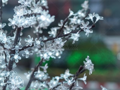 圣诞小彩灯,新的,水平画幅,雪,电灯泡,圣诞老人,圣诞树,泰国,固体