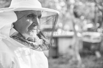 beekeeper,老年人,音乐体验馆,公司等级,昆虫群,养蜂,蜂箱,六边形,工作年长者,蜜蜂