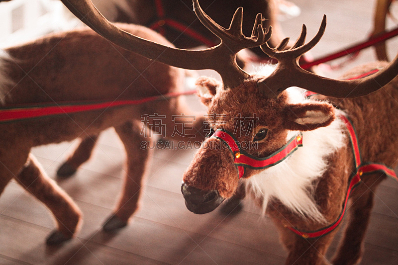 瑞属拉普兰,红鼻子驯鹿,拉普兰,动物雪车,雪橇,圣诞老人,毛绒玩具,贺卡,褐色