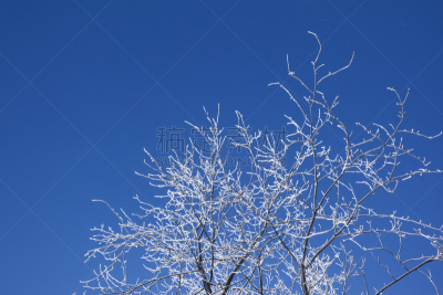 冬天,加拿大,天空,水平画幅,雪,无人,户外,雪燕,戏剧性的天空,北美