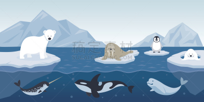 性格,动物主题,北极,背景,绘画插图,海豚,企鹅,水下,海狮,卡通