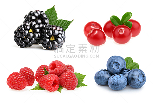 覆盆子,蓝莓,蔓越桔,水果,黑刺莓,自然美,越橘,熊果,堆,野生植物