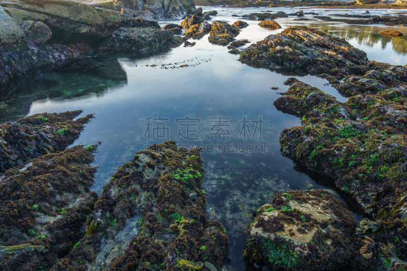 岩层,池塘,潮汐,多色的,罗博斯角州立保护区,卡麦尔,潮水坑,水,水平画幅,沙子