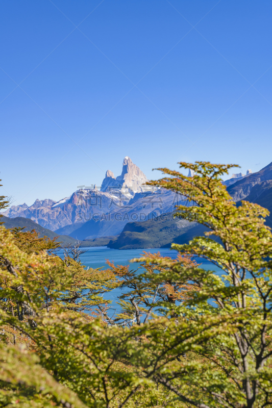 朴森诺,湖,山,阿根廷,风景,巴塔哥尼亚,费兹罗山,玻利维亚安迪斯山脉,垂直画幅,水