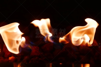 式样,环境,气候,复叶,自然美,树冠,沙漠,热带树,建筑,沙漠绿洲