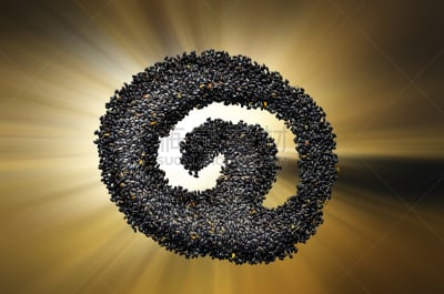 罗勒,水平画幅,种子,胶浆,摄影,瘦身