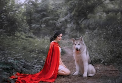 白色,连衣裙,轻的,森林,狼,黑色,阿拉斯加雪橇犬,红色,陆地