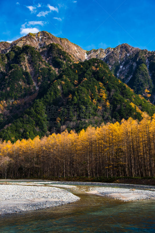 秋天,长野县,中部山岳国立公园,松本,飞驒山脉,垂直画幅,水,天空,美,雪