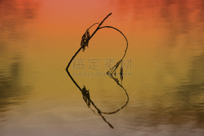 嫩枝,中心点,水果层蛋糕,顺化,水,柳树,水平画幅,表格,轻的,符号