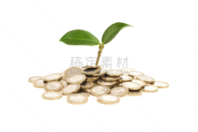 摇钱树,血汗钱,发财树,利率,商务策略,储蓄,水平画幅,植物,公司企业,金色