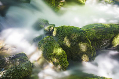 山谷,苔藓,国内著名景点,法国,自然美,韩国,植物,河流,瀑布,岩石