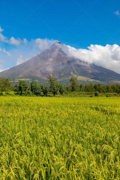 阿尔拜省,菲律宾,马尔地马荣火山,垂直画幅,黎牙实比市,熔岩,火山,亚洲,著名景点