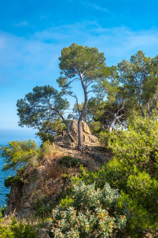 Landscape on Pointe du Layet in Le Lavandou in the Department Var of the province Provence-Alpes-Cote d´Azur