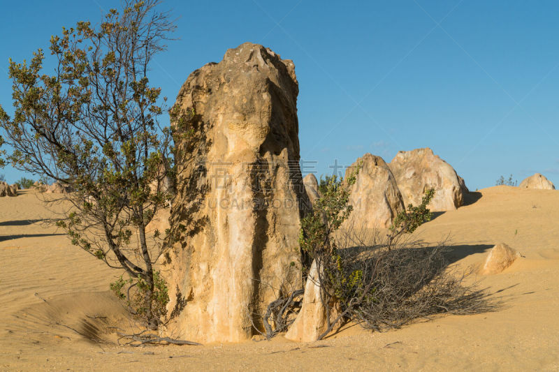 石峰沙漠,西澳大利亚,尖峰,天空,水平画幅,沙子,无人,澳大拉西亚,夏天,户外