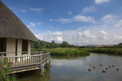 阿伦德,西苏塞克斯,湿地,自然保护区,水,草原,水平画幅,无人,英格兰,野外动物