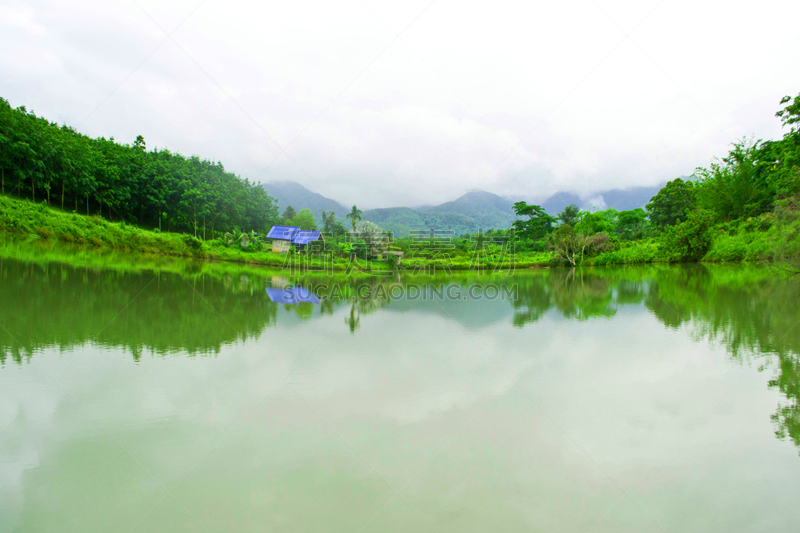 山,河流,地形,鲻鱼,自然,野生动物,水平画幅,无人,蓝色,蛇