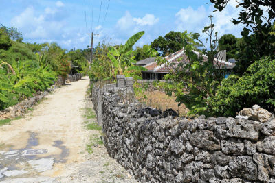度假胜地,竹富岛,居住区,石墙,水平画幅,后院,无人,竹富町,阴影,户外