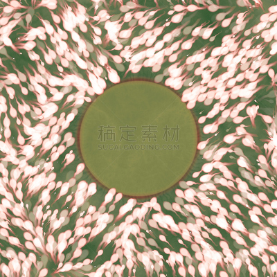 人,人工授精,膜,大规模的放大,新的,生物科技,精子,科学,生物学,球体